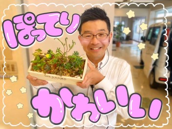 【癒し】ぽってり可愛い多肉植物頂きました